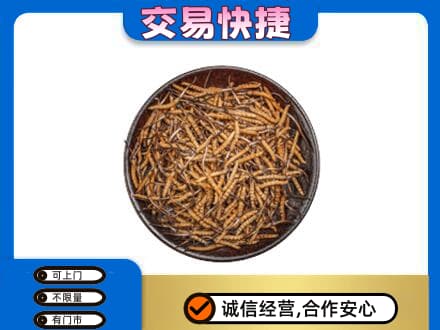 白山江源区礼品回收虫草.jpg